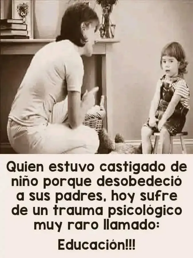 1690925308591.webp