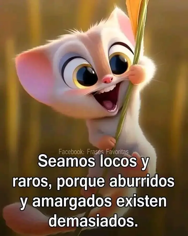 1691496332380.webp