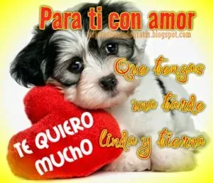 buenas-tardes-mi-amor-15-300x257.webp
