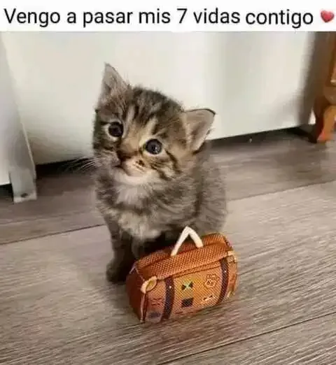 FB_IMG_16977554231454277.webp
