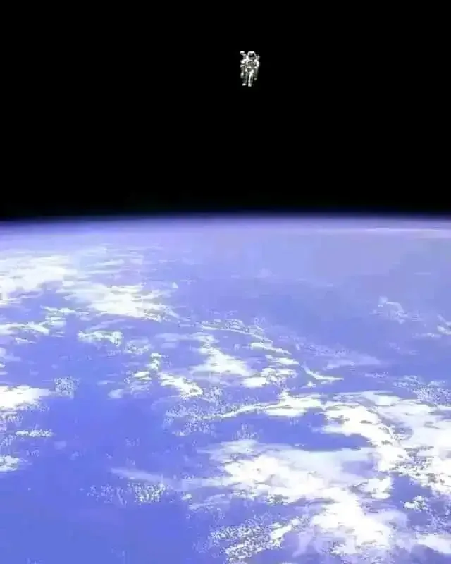 1703388402399.webp