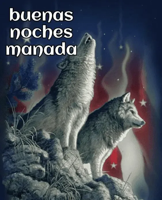 1704498584250.webp