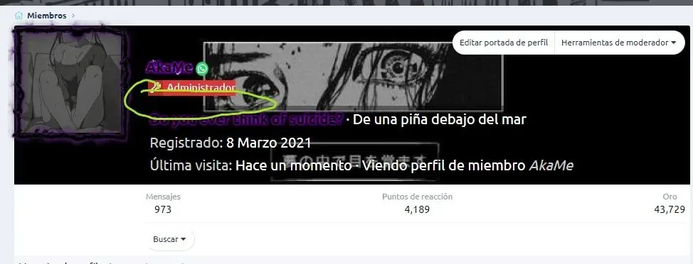 Captura de pantalla_16-8-2024_6444.webp