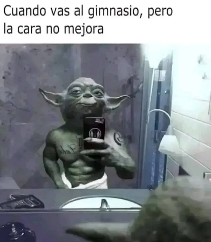 1726155730419.webp