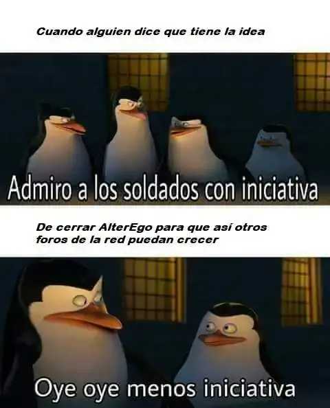 fe4e231f7e589611eefec2cdace4d25d - copia.webp