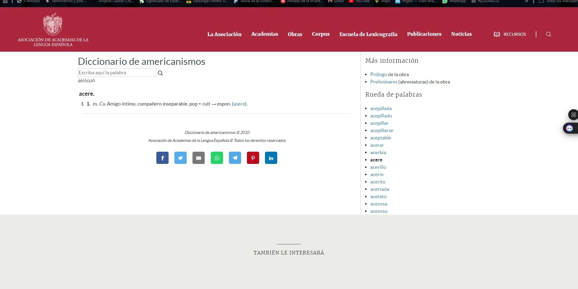 acere.webp