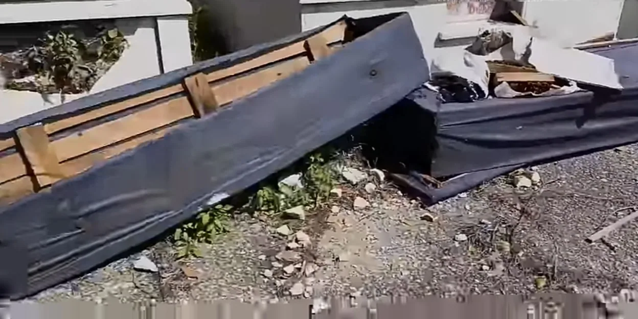 Screenshot_20241030_203654_YouTube.webp