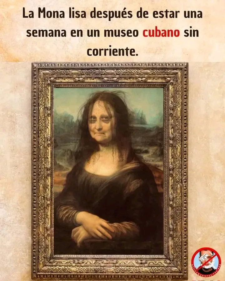 1731757052242.webp