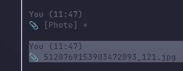 24-03-2025-11-48-30.webp