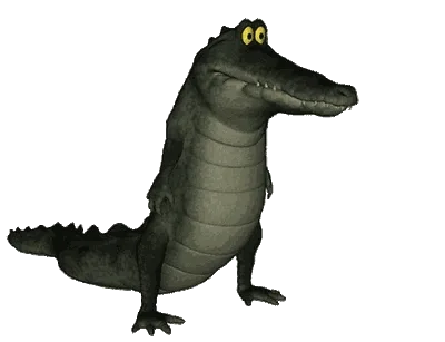 R.webp