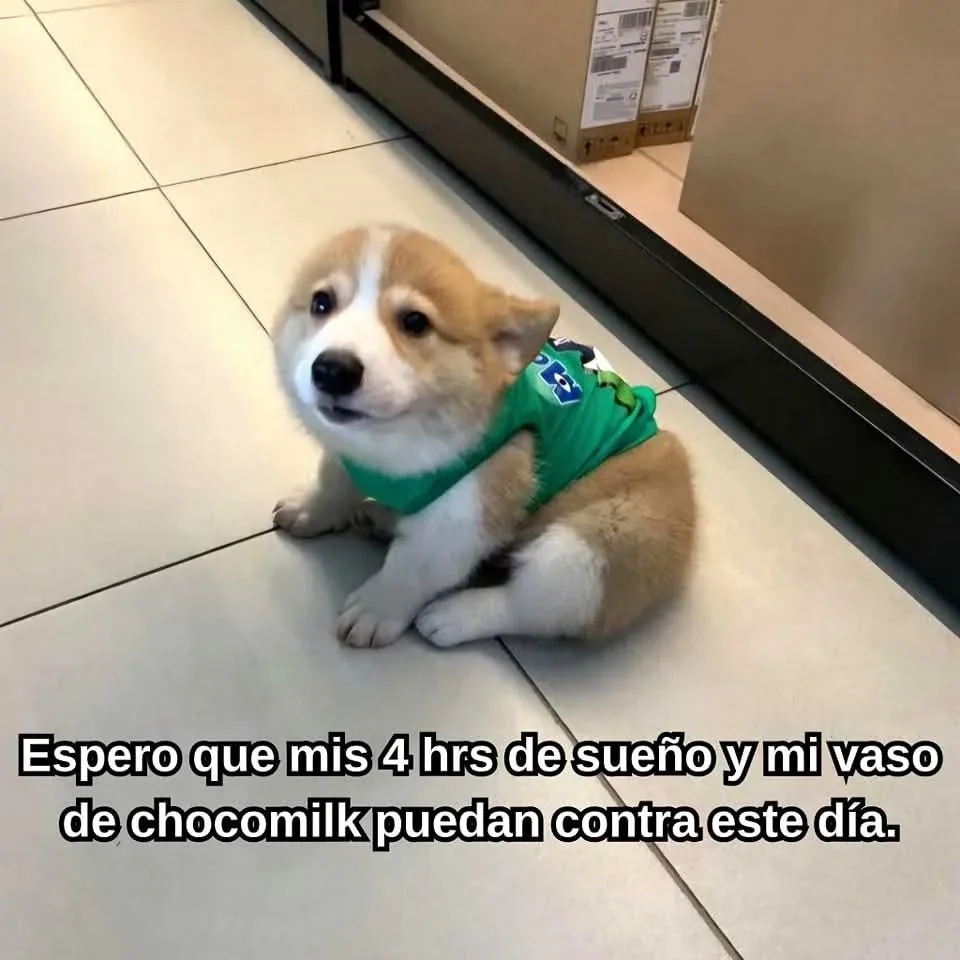 Tumblr_l_61895571594459.webp