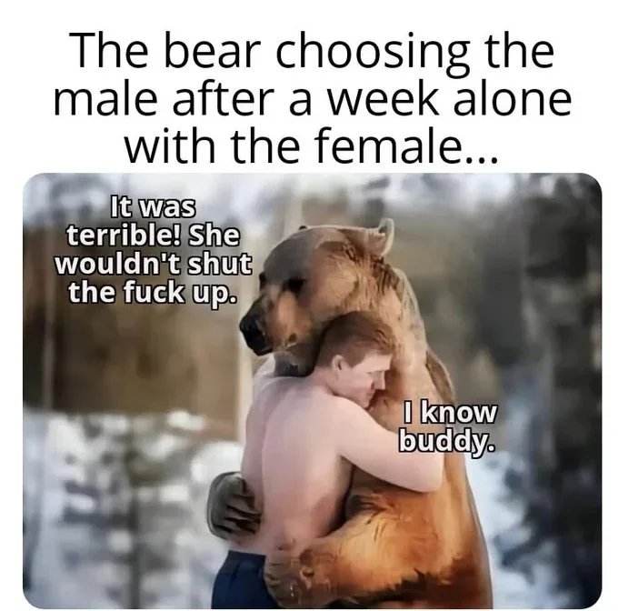 bear chooses man.webp