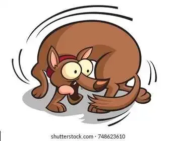 cartoon-dog-chasing-tail-260nw-748623610.webp