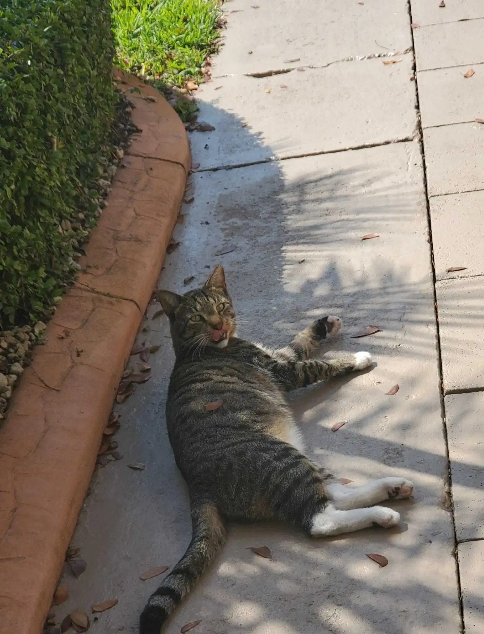 IMG-20230329-WA0061.webp