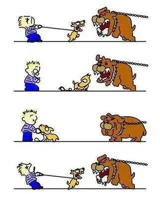tipico-de-los-perros-ladrar-con-la-correa.webp