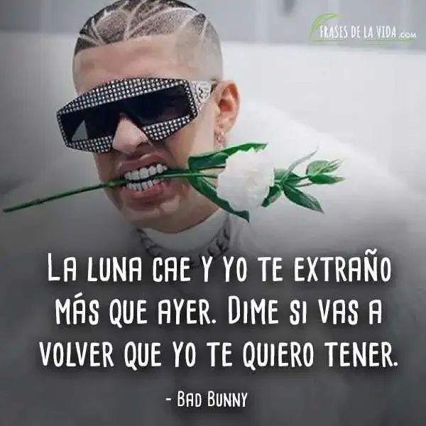 Frases-de-Bad-Bunny-1.webp
