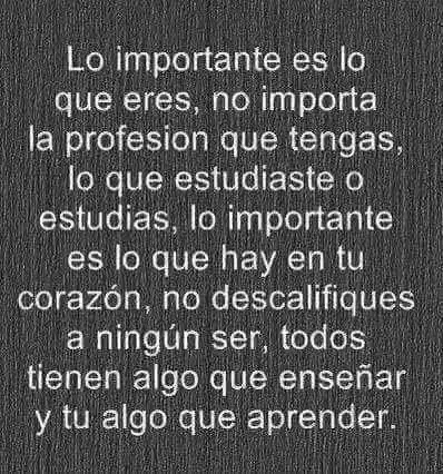1687706240397.webp