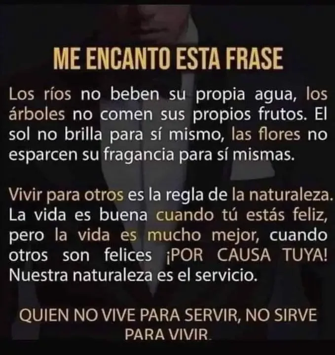 FB_IMG_1688476007318.webp