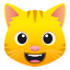 Cara de gato sonriendo :smiley_cat: 😺